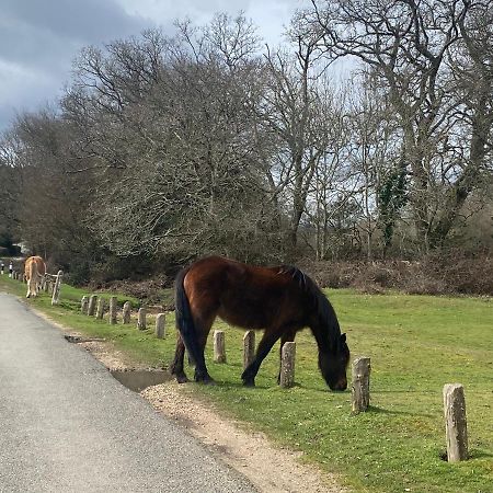 Springfield Lodge - Adorable New Forest 1-Bedroom Guest House Ringwood Bagian luar foto